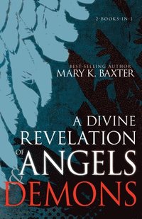 bokomslag A Divine Revelation of Angels & Demons