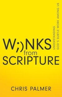 bokomslag Winks from Scripture: Understanding God's Subtle Work Among Us