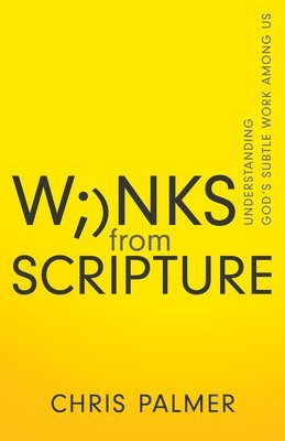 bokomslag Winks from Scripture: Understanding God's Subtle Work Among Us