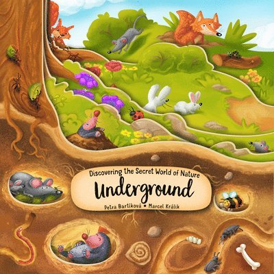 Discovering the Secret World of Nature Underground 1