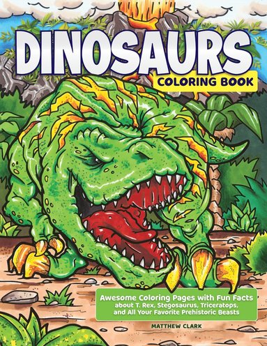 bokomslag Dinosaurs Coloring Book