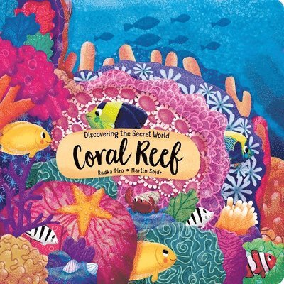 Discovering the Secret World of the Coral Reef 1