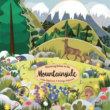 bokomslag Discovering Nature on the Mountainside