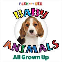 bokomslag Peek and See Baby Animals All Grown Up