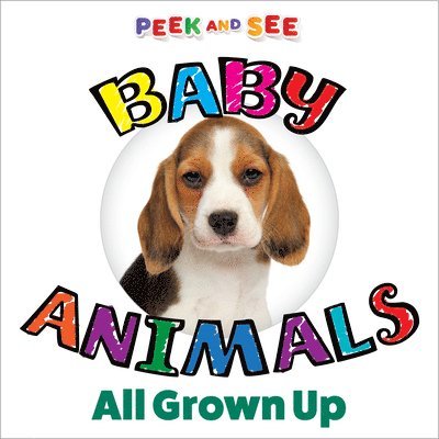 Peek and See Baby Animals All Grown Up 1