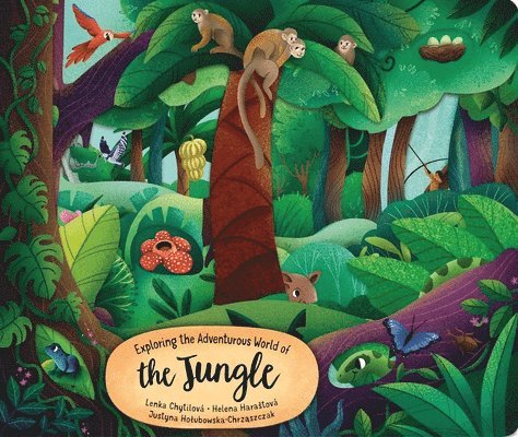 Exploring the Adventurous World of the Jungle 1