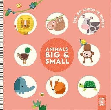 bokomslag Animals Big & Small