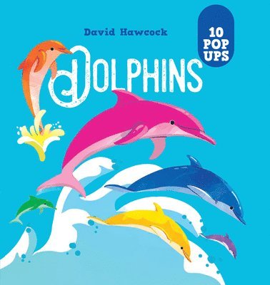 Dolphins: 10 Pop-Ups 1