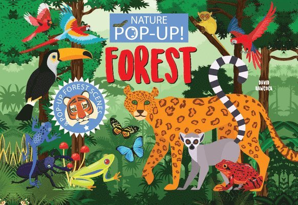 Nature Pop-Up! Forest: 8 Pop-Up Forest Scenes 1