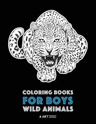 bokomslag Coloring Books For Boys