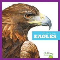 bokomslag Eagles