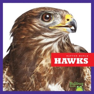 bokomslag Hawks