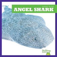 bokomslag Angel Shark