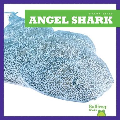 bokomslag Angel Shark