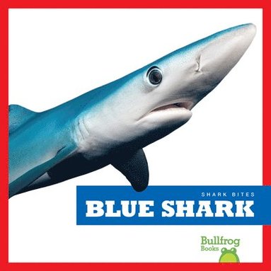 bokomslag Blue Shark