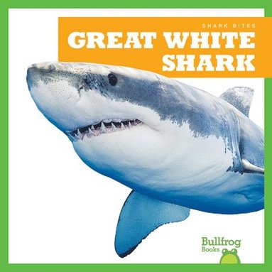 bokomslag Great White Shark