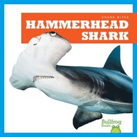 bokomslag Hammerhead Shark