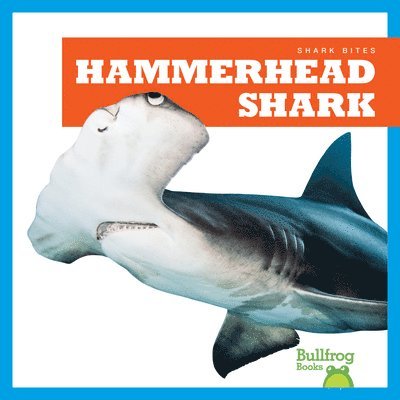 Hammerhead Shark 1