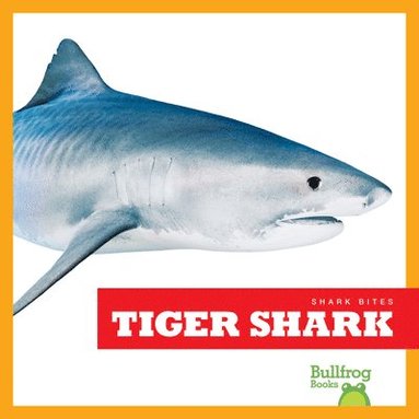 bokomslag Tiger Shark