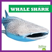bokomslag Whale Shark