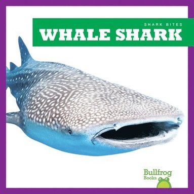bokomslag Whale Shark