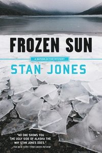 bokomslag Frozen Sun
