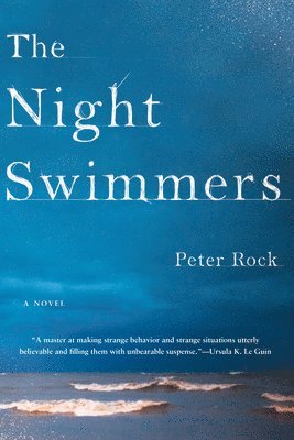 bokomslag The Night Swimmers