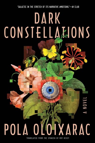bokomslag Dark Constellations
