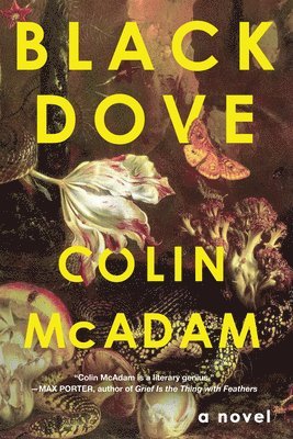 Colin McAdam - Black Dove, Häftad