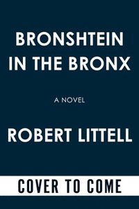 bokomslag Bronshtein in the Bronx