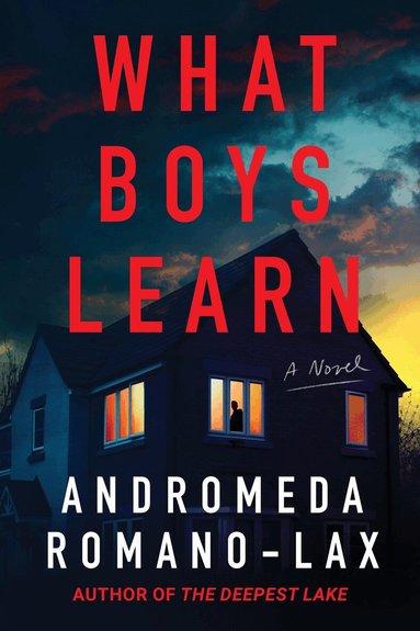 Andromeda Romano-Lax - What Boys Learn, Inbunden