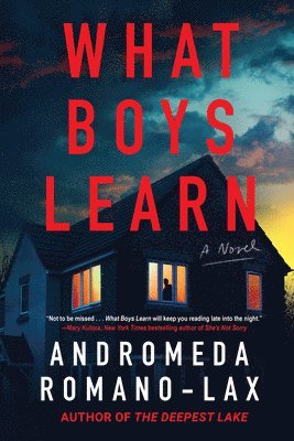 Andromeda Romano-Lax - What Boys Learn, Häftad