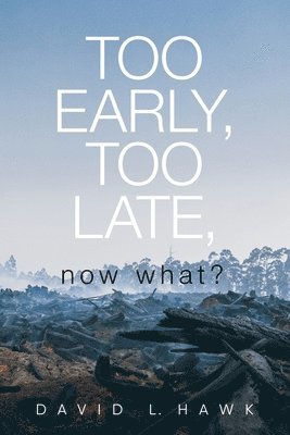 bokomslag Too Early, Too Late, Now What?