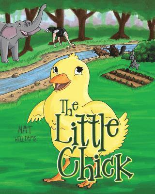 bokomslag Little Chick