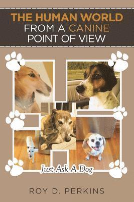 Human World from a Canine Point of View