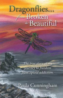Paula Cunningham - Dragonflies...From Broken to Beautiful, Häftad