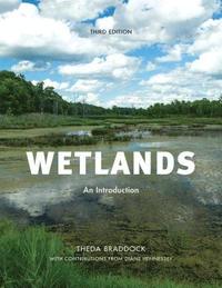 bokomslag Wetlands
