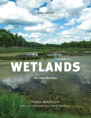 Wetlands 1