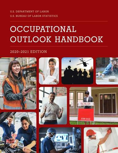 bokomslag Occupational Outlook Handbook, 2020-2021