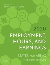 bokomslag Employment, Hours, and Earnings 2020