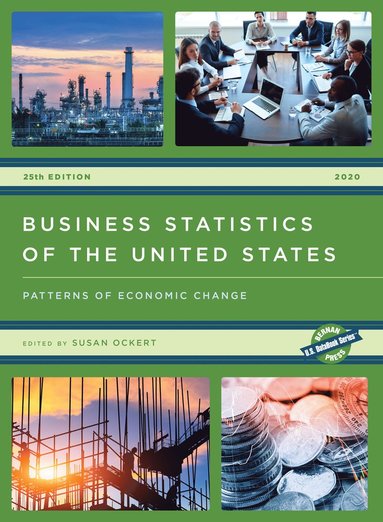 bokomslag Business Statistics of the United States 2020