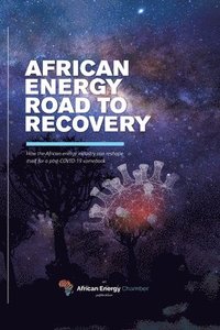 bokomslag African Energy Road to Recovery
