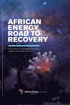 bokomslag African Energy Road to Recovery