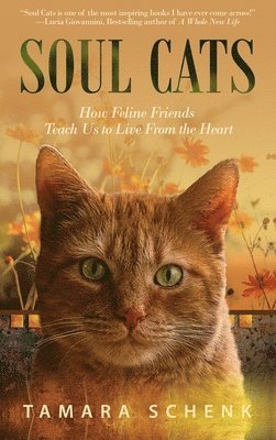bokomslag Soul Cats: How Our Feline Friends Teach Us to Live from the Heart