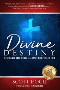 bokomslag Divine Destiny