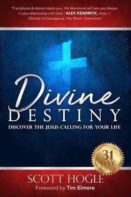 bokomslag Divine Destiny: Discover the Jesus Calling for Your Life