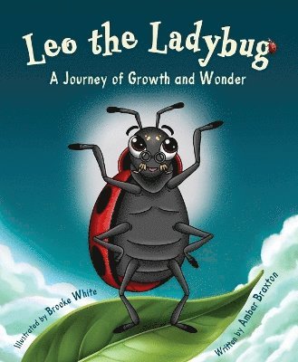 bokomslag Leo the Ladybug