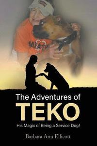 bokomslag The Adventures of TEKO