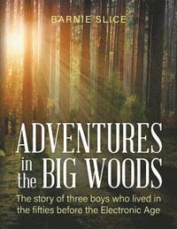 bokomslag Adventures in the Big Woods
