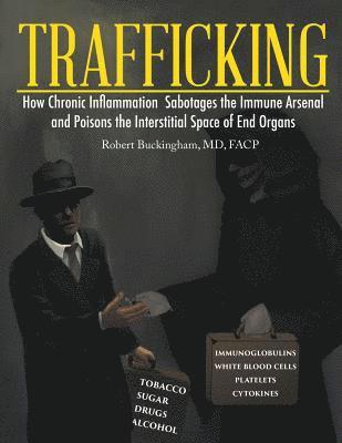 bokomslag Trafficking